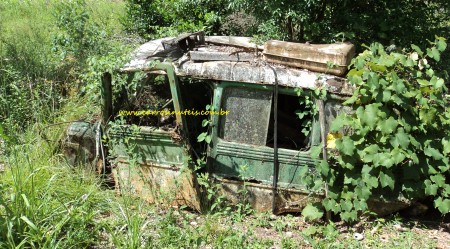 Vergara Pelotas Rural