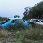 Dupla de Dodge