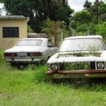 Chevrolet Caravan e Opala