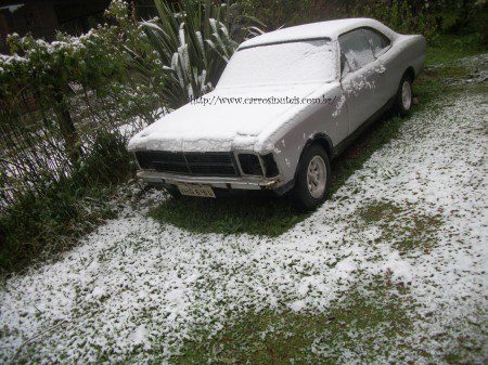 opala_canela_neve