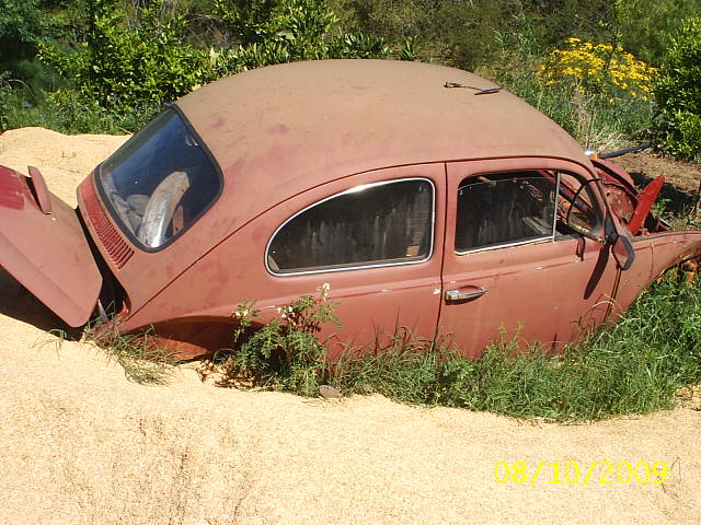 VW Fusca