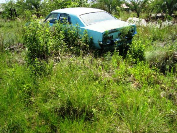 Ford Maverick (Sedan)