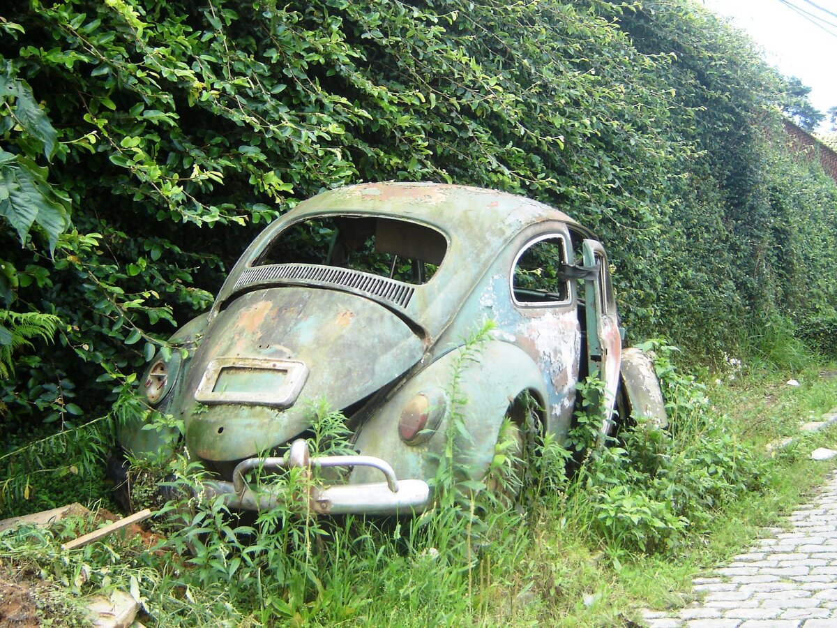 VW Fusca