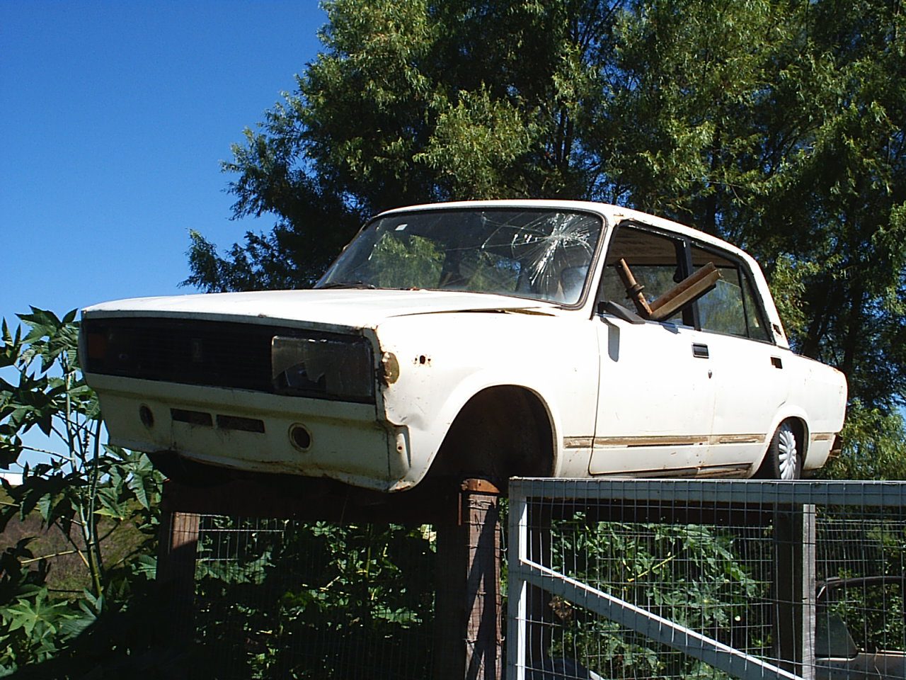 Lada Laika