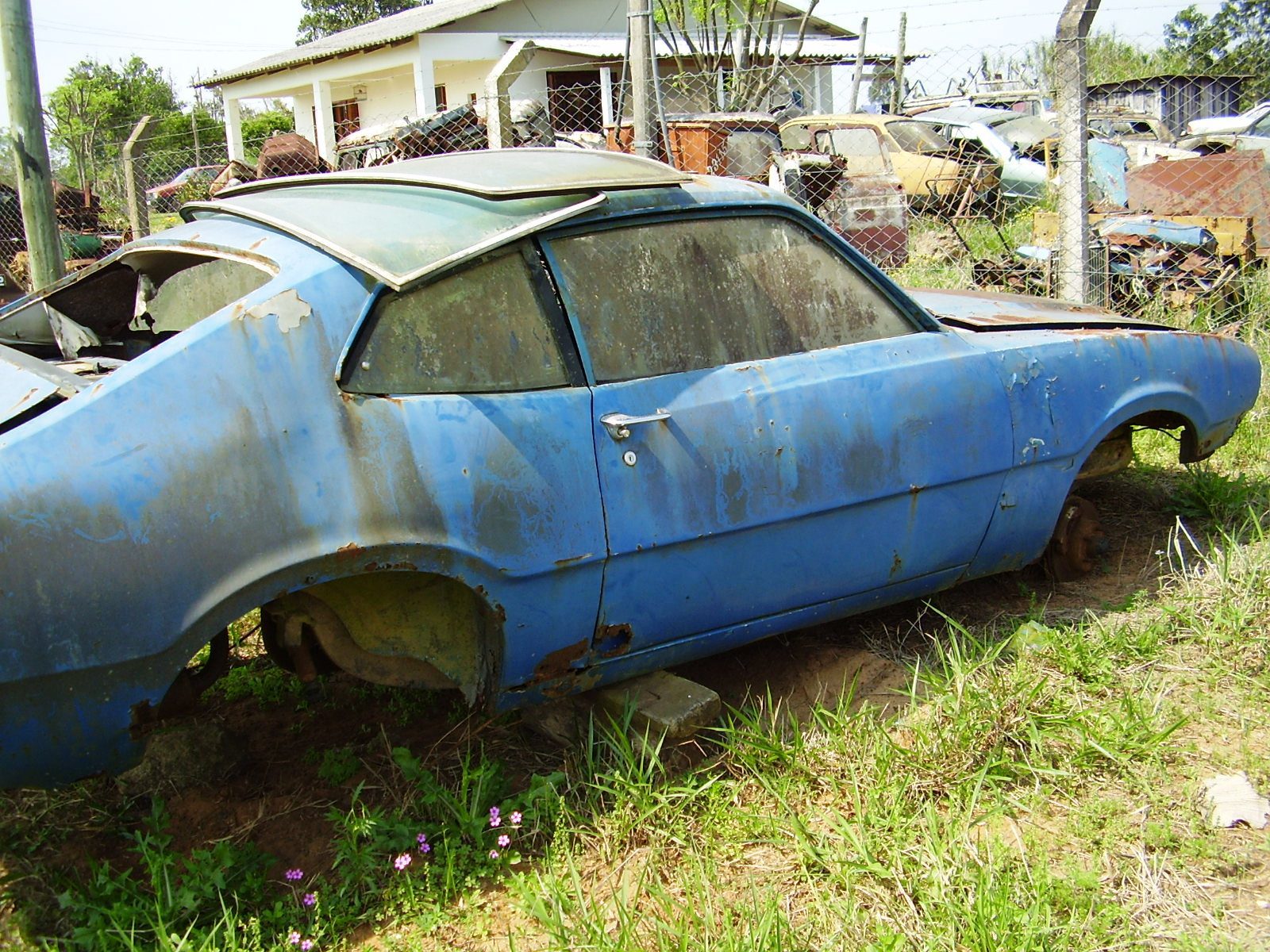 Ford Maverick
