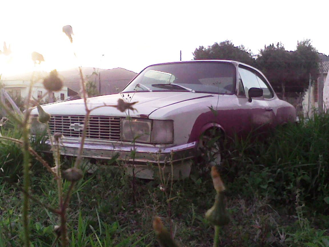 GM Opala