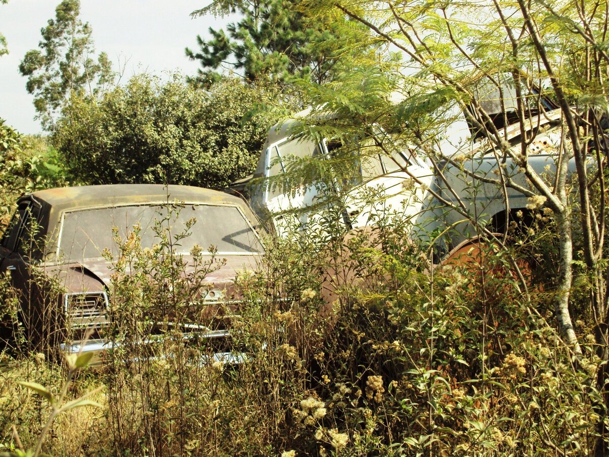Ford Galaxie 500 e Aero Willys