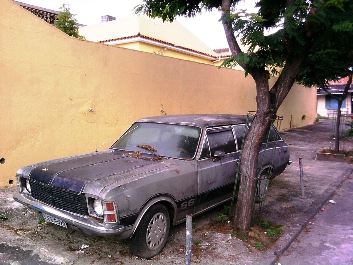 GM Caravan
