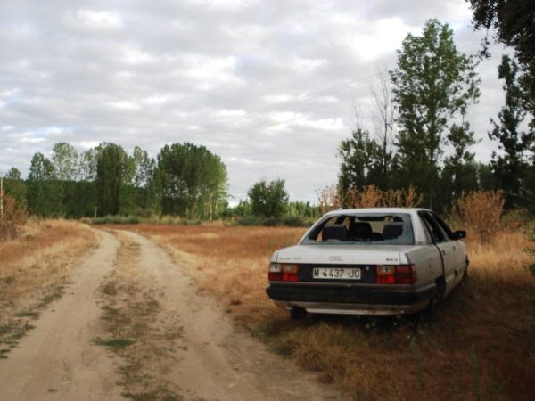 Audi 100