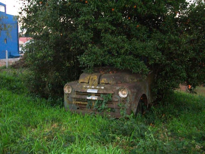 Dodge Fargo