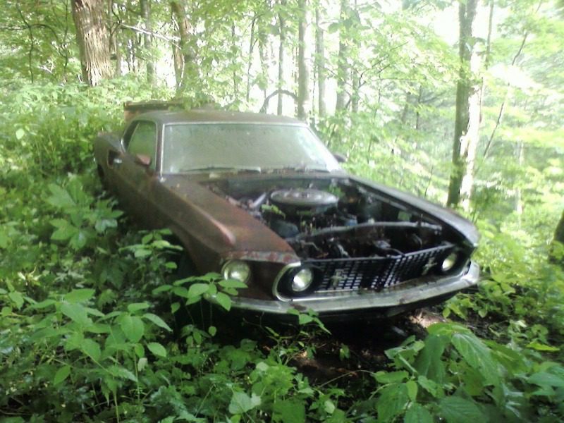 Ford Mustang