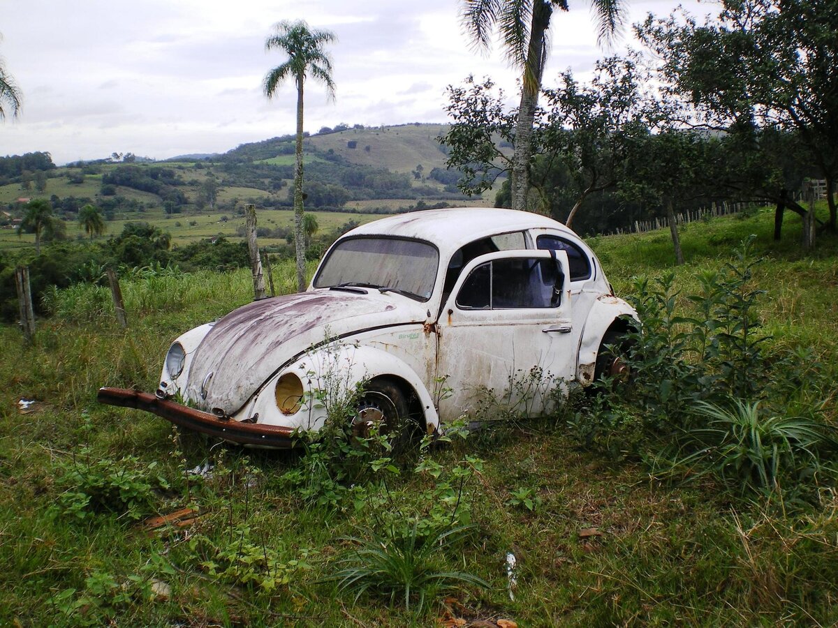 Volkswagen Fusca