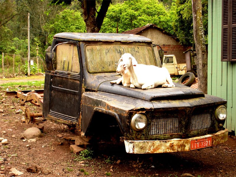 Ford F-75