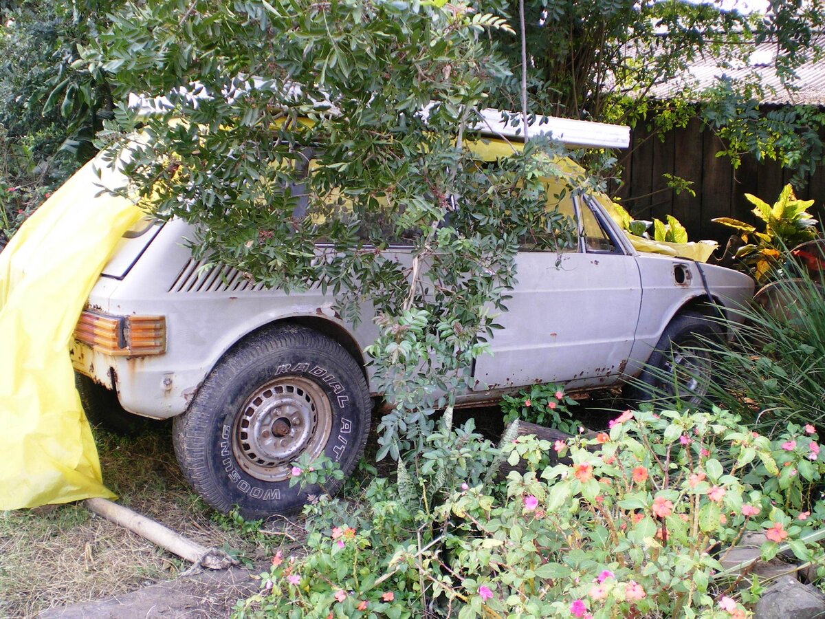 VW Brasília