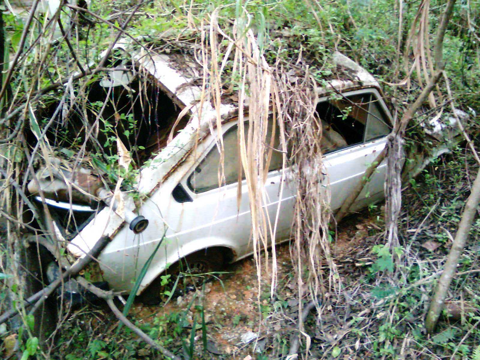 Fiat 147