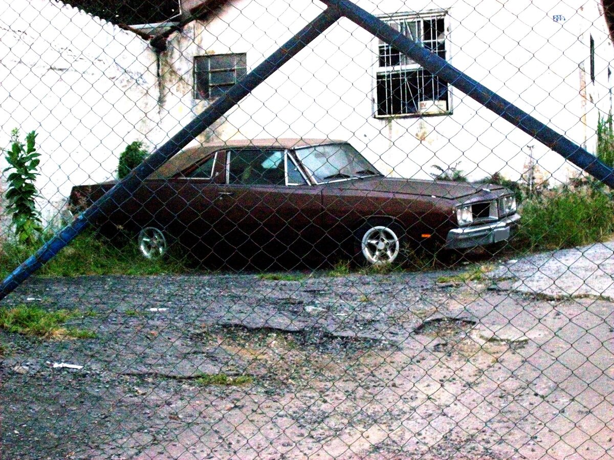 Dodge