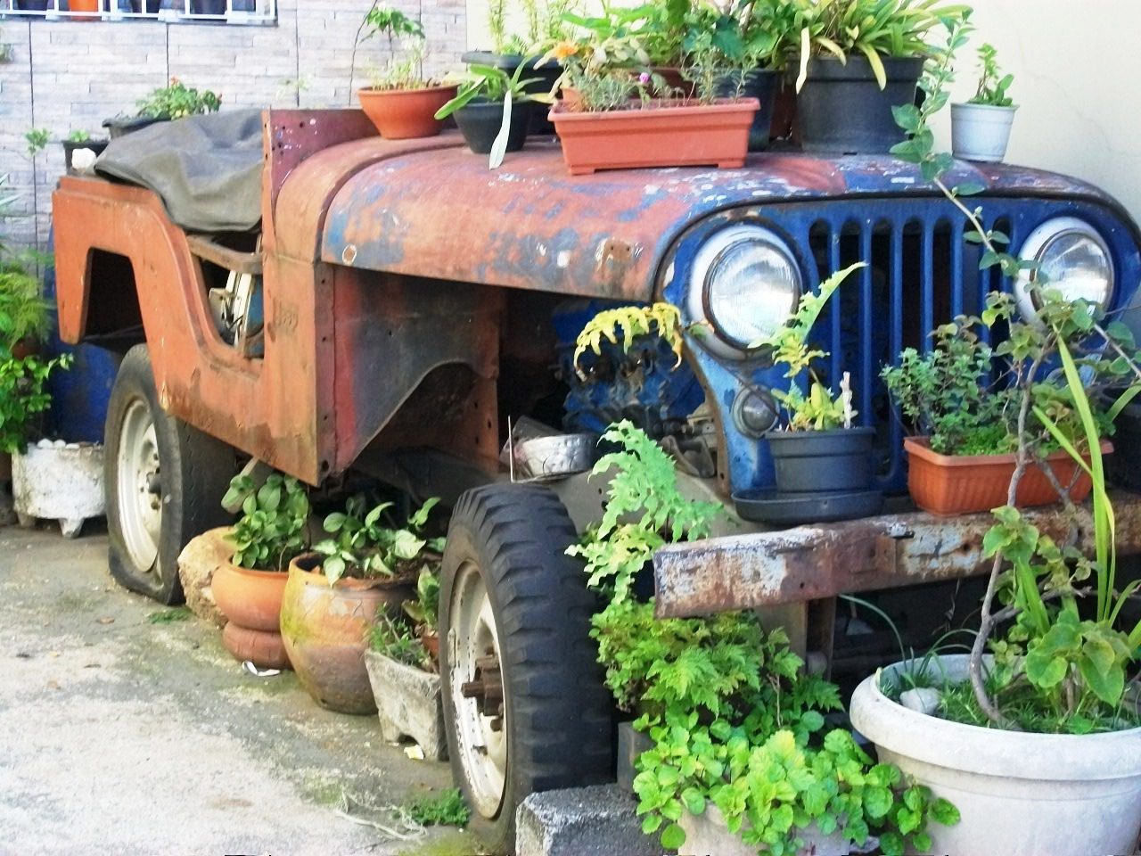 Jeep Willys
