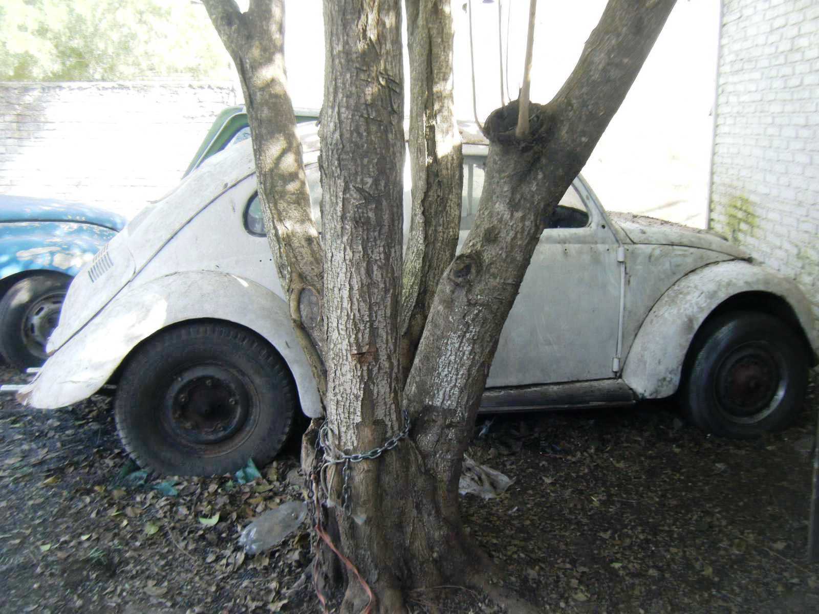 Volkswagen Fusca