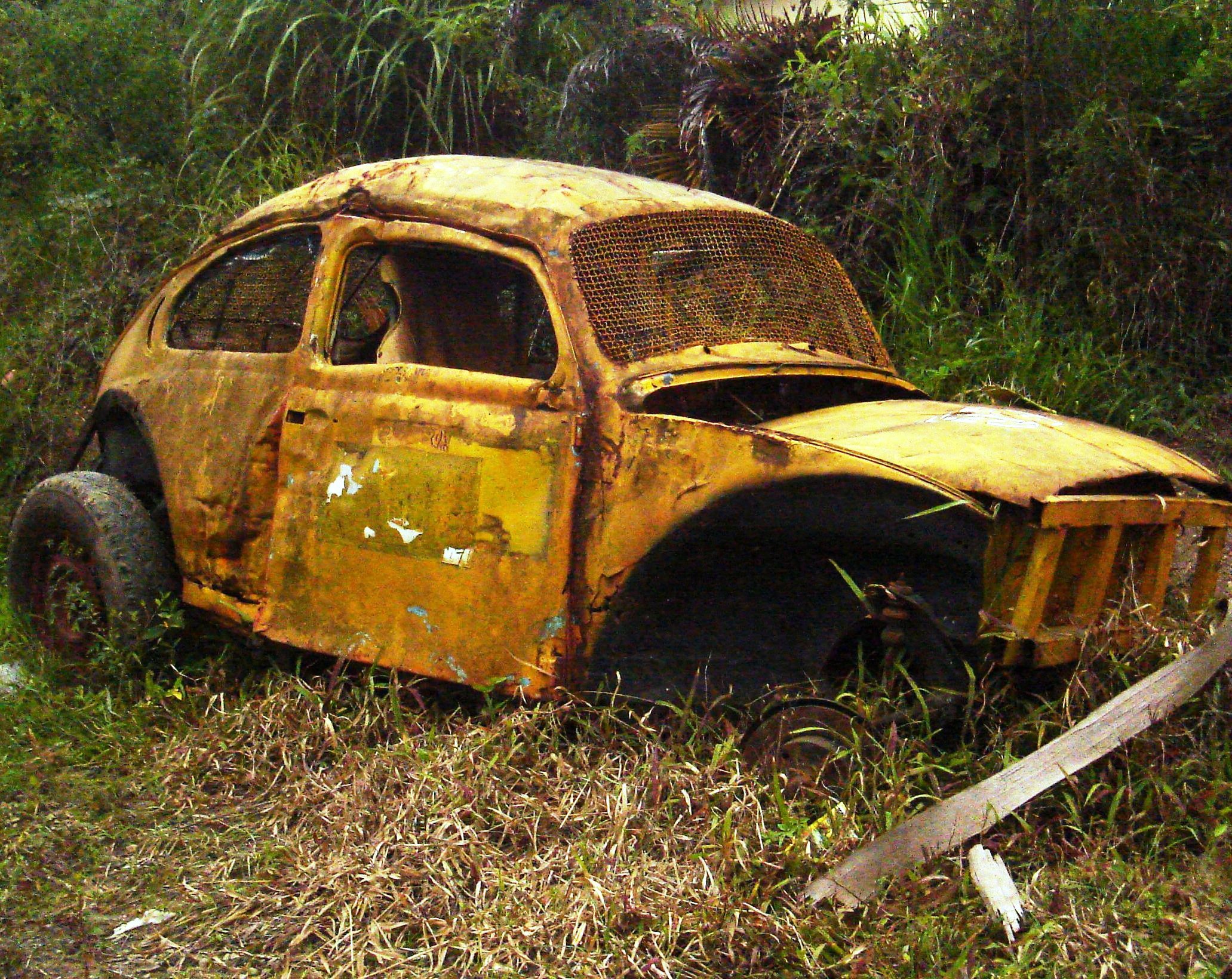 Volkswagen Fusca Baja