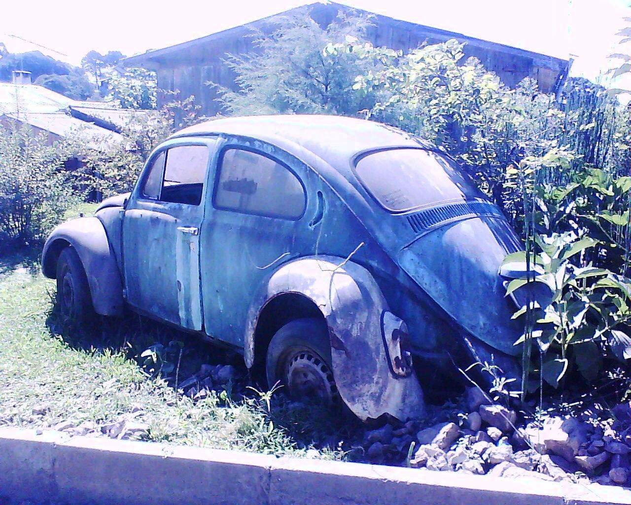 Volkswagen Fusca