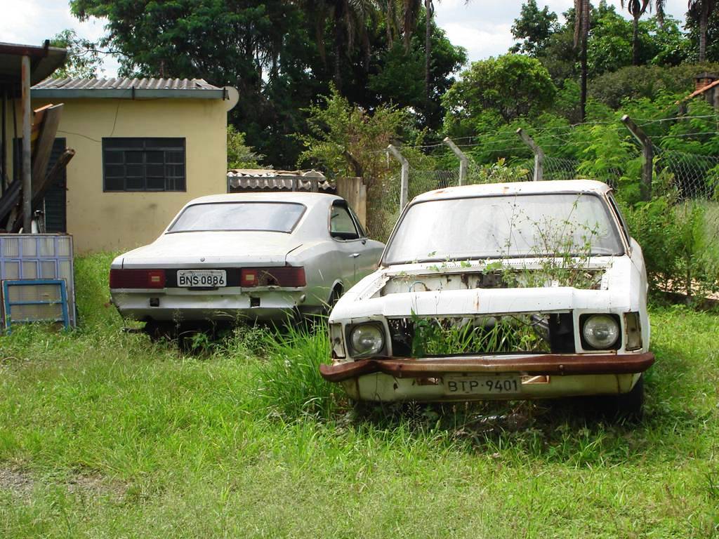 Chevrolet Caravan e Opala