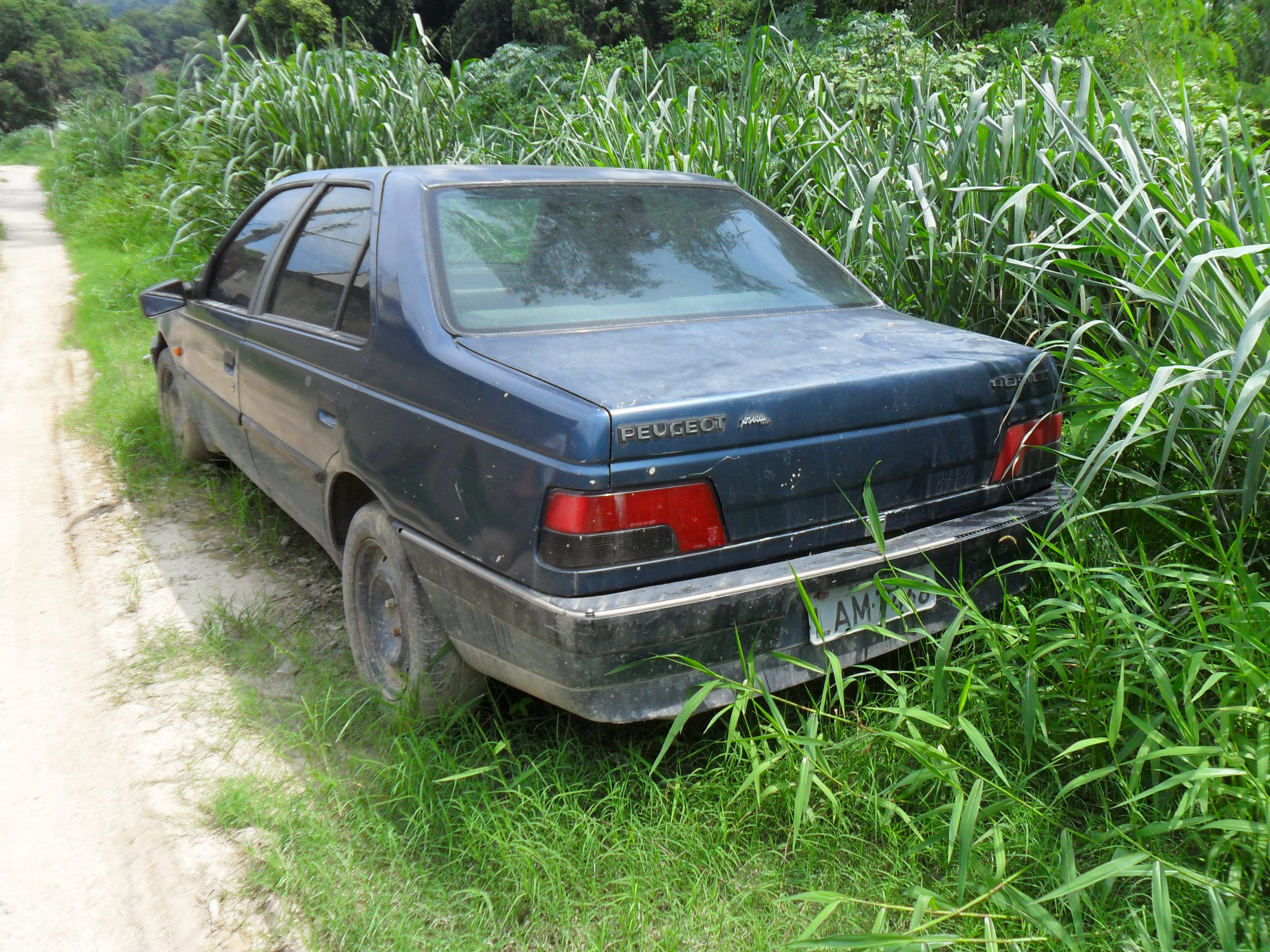 Peugeot 405