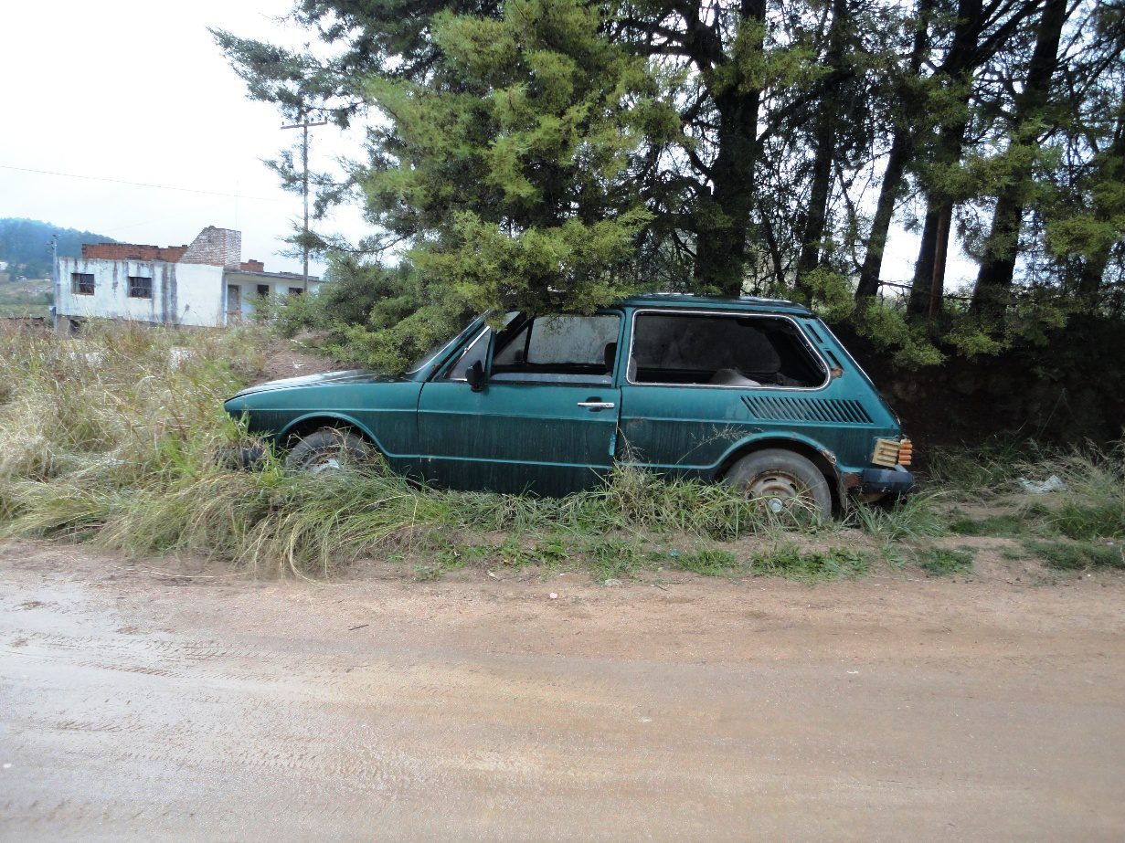 Volkswagen Brasília