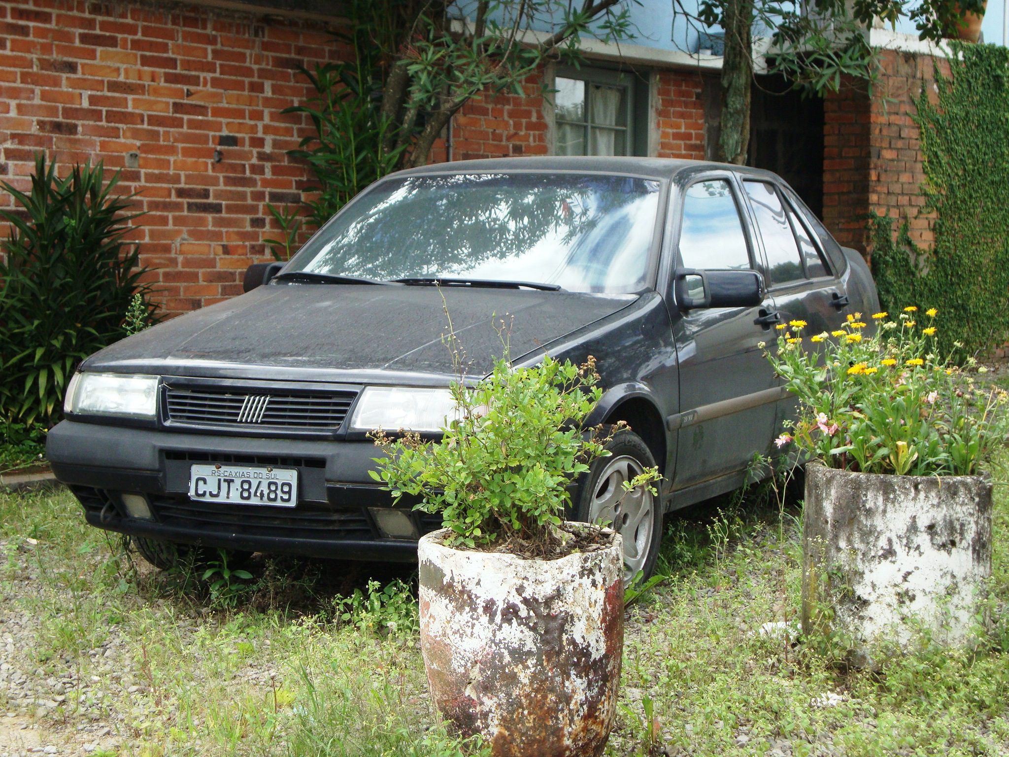 Fiat Tempra