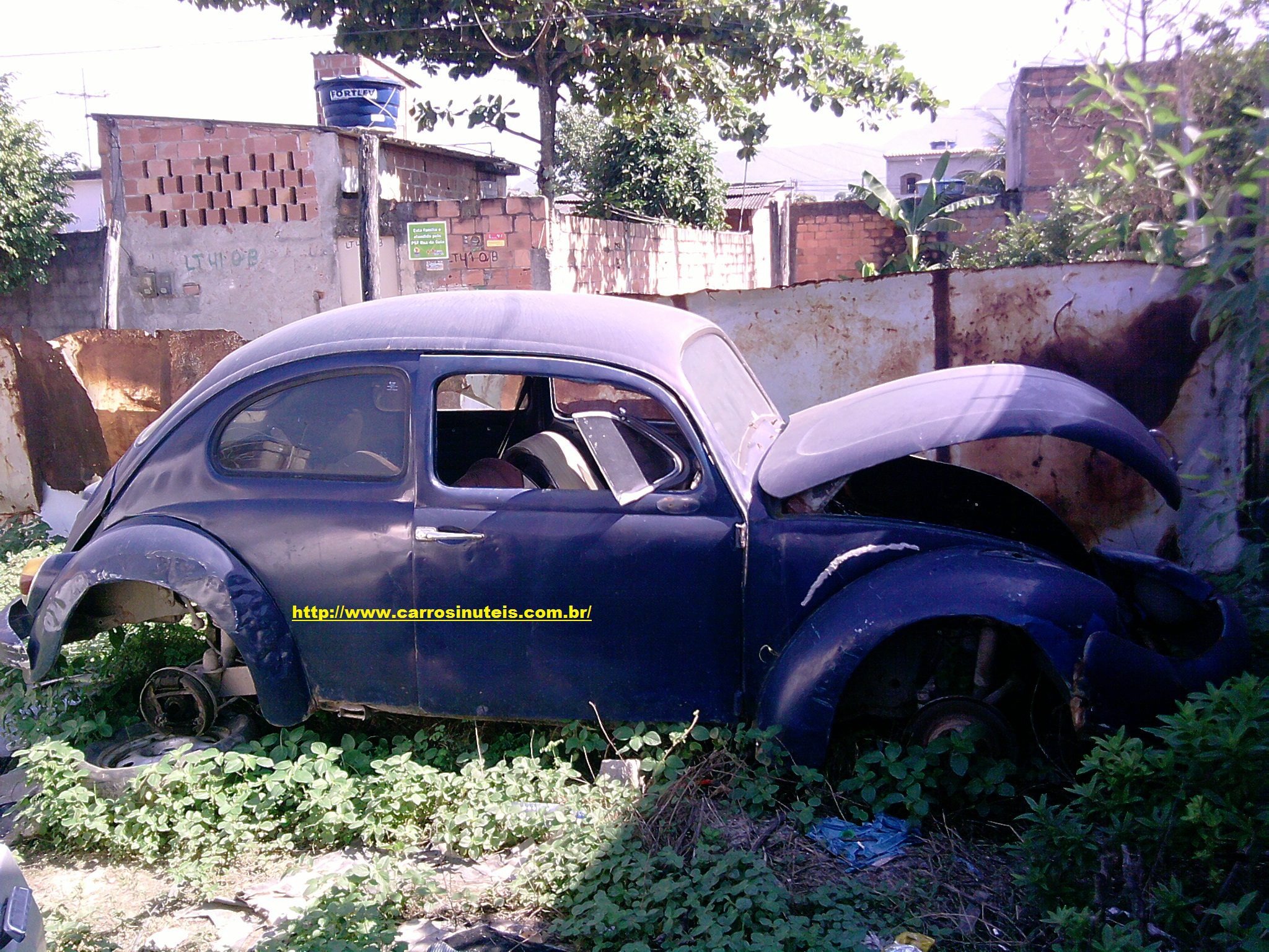 VW Fusca