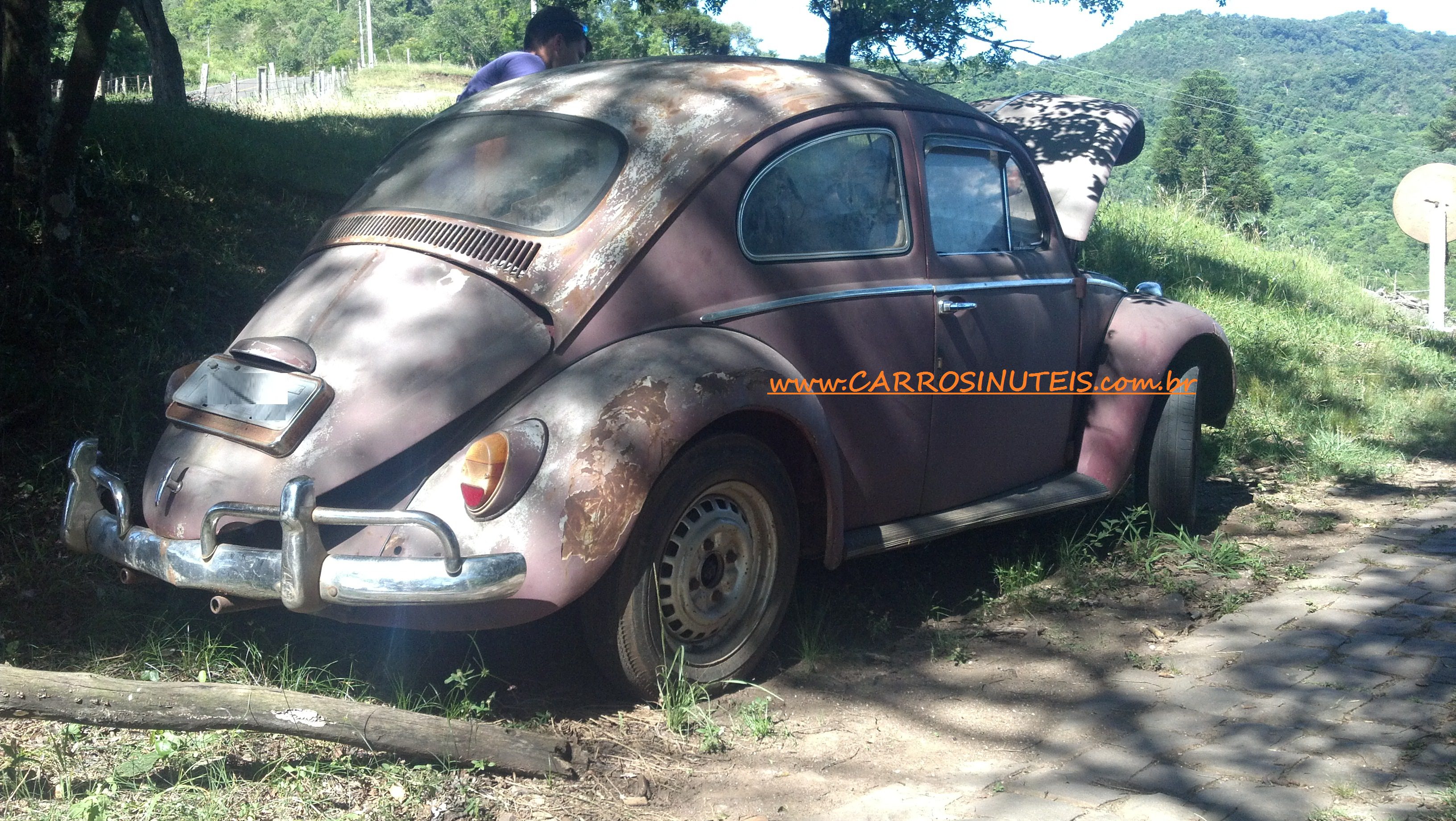 Volkswagen Fusca, foto: Régis, em Westfália-RS