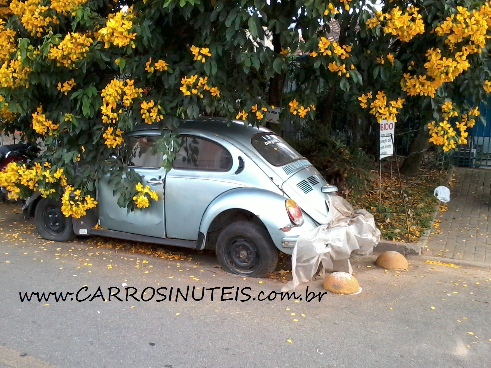 VW Fusca, Araucária, PR. Foto de Gilberto Franca.