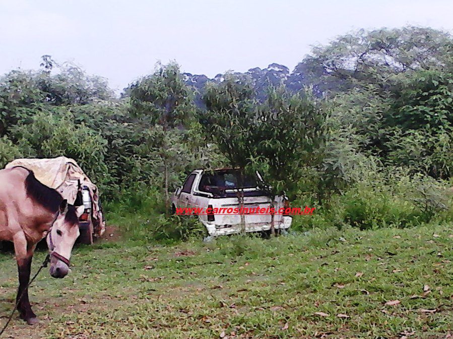 VW Saveiro, Jardim Progresso, SP, foto de Manoel