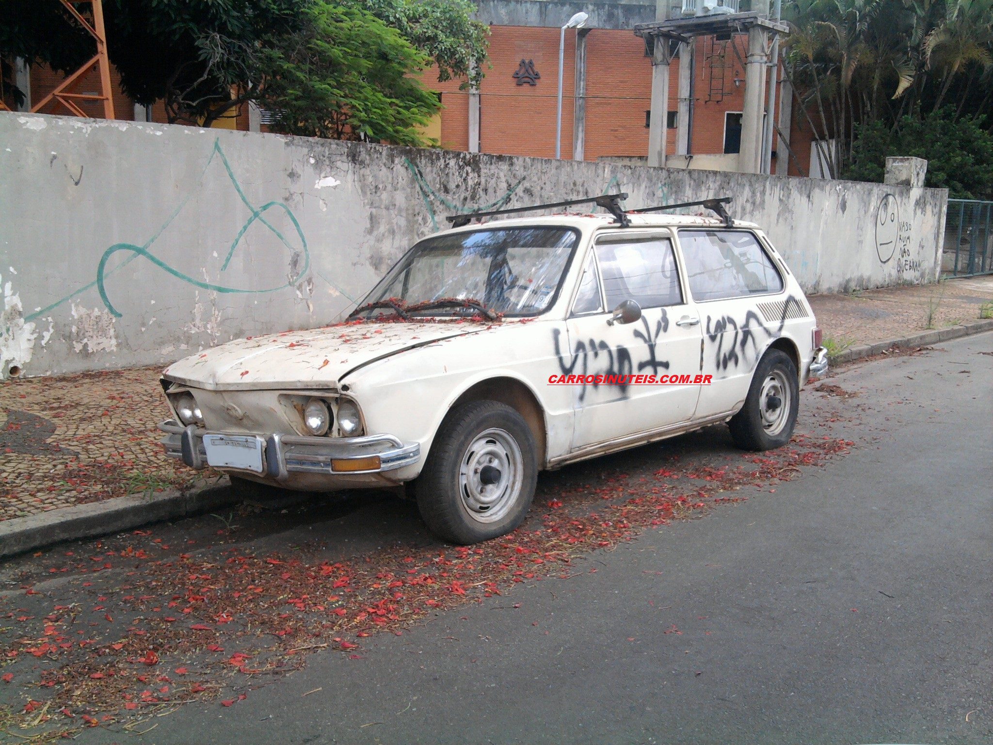 VW Brasilia, foto enviada por Alexandre, Campinas-SP