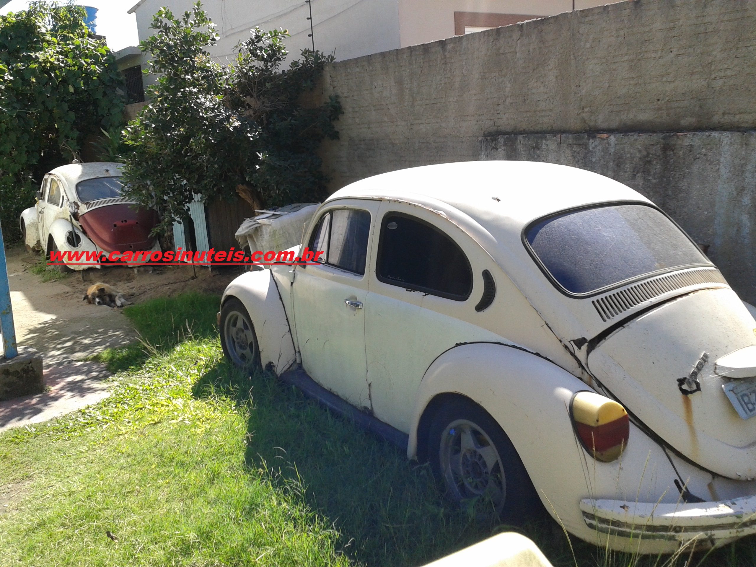 VW Fusca(s), foto de Rogério Klassen, cidade de Rio Grande-RS