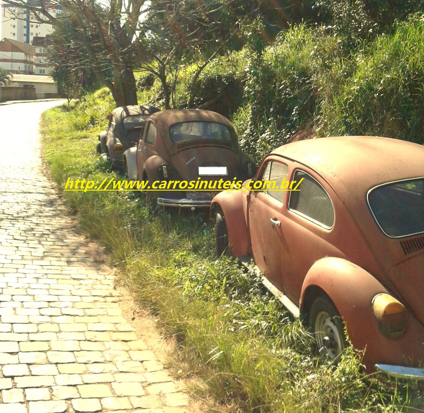 VW Fusca, Felipe, Passo Fundo-RS