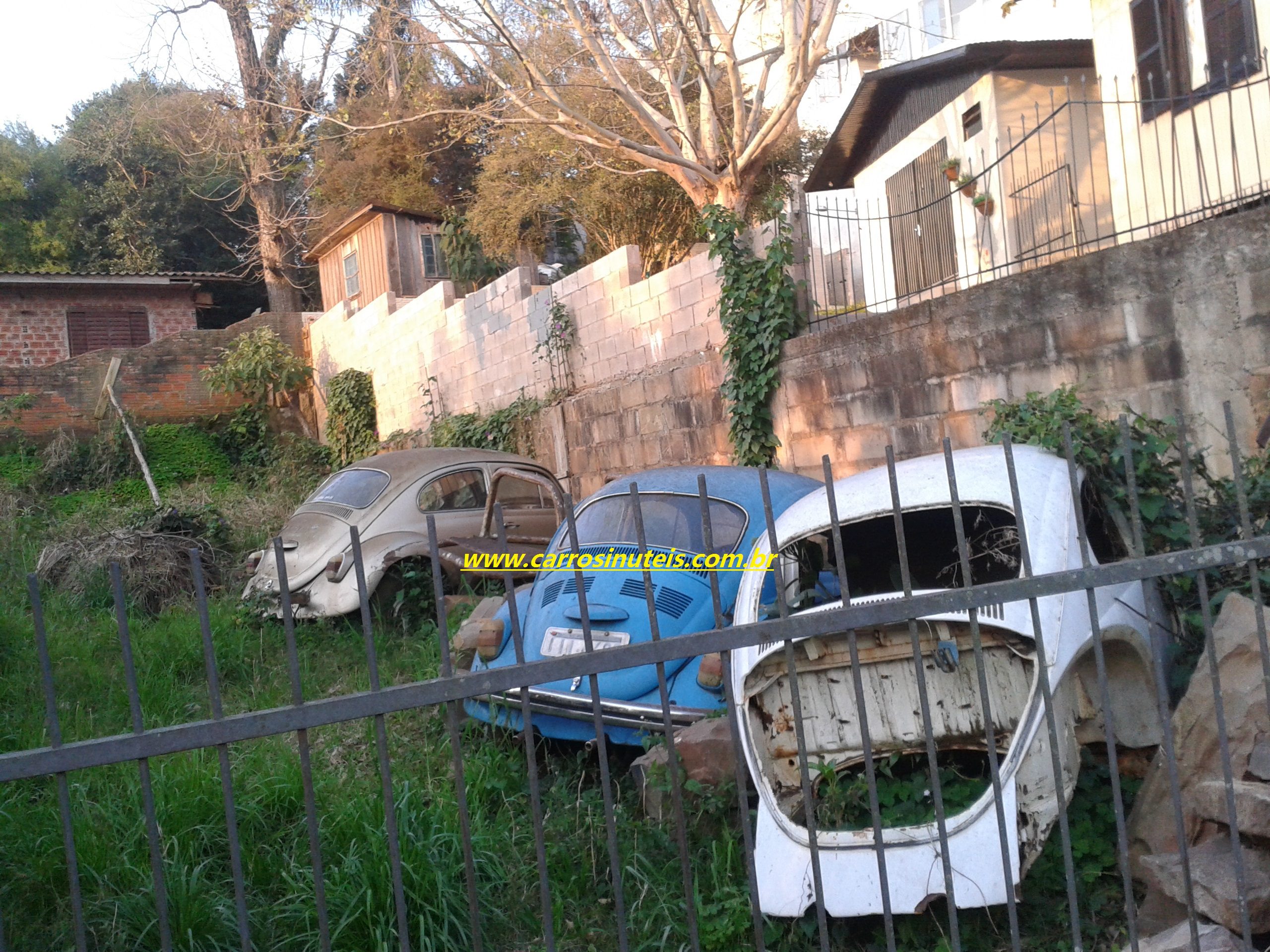 VW Fusca, by Felipe, Passo Fundo-RS