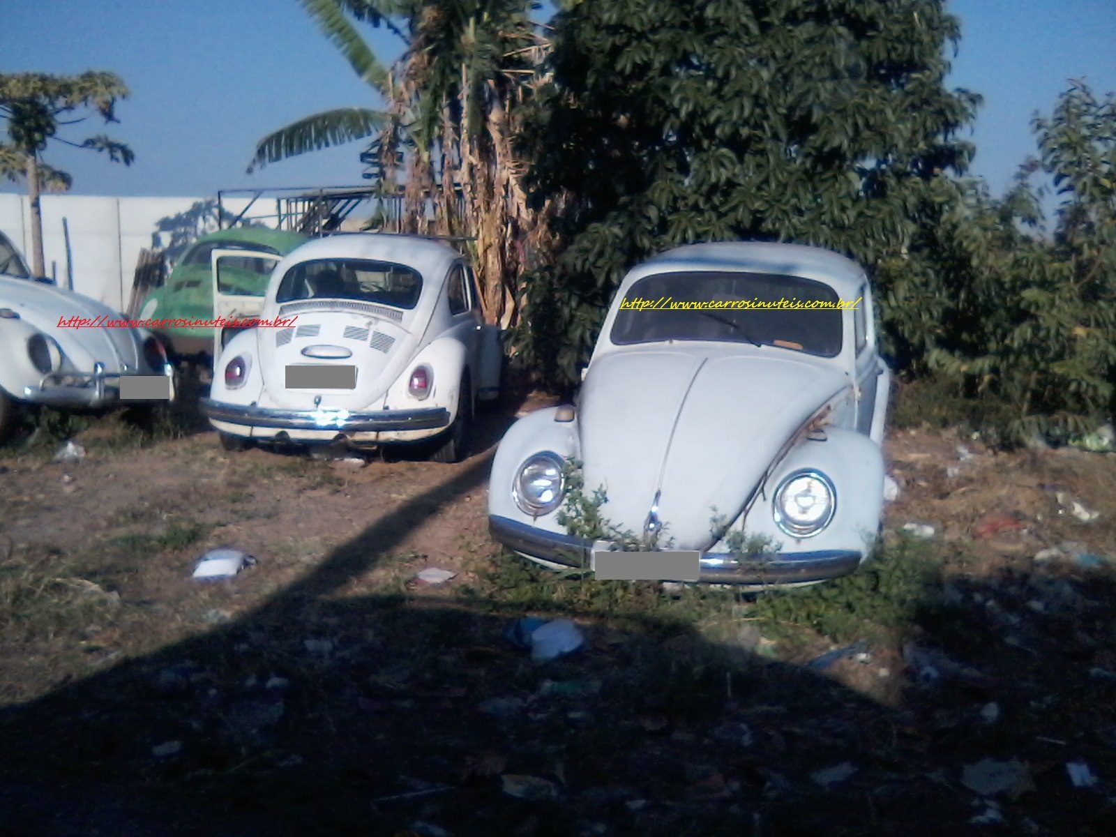 VW Fusca (cemitério!), Michel silva – Campinas-SP