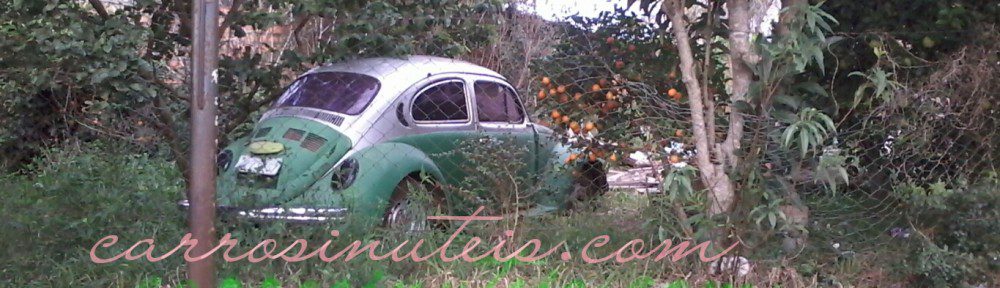 VW Fusca, Alegrete, RS, by Russel