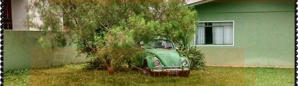 VW Fusca, Campos Novos, SC, Jonathan