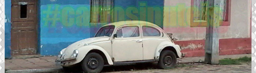 VW Fusca. Alegrete-Rs. by Castro