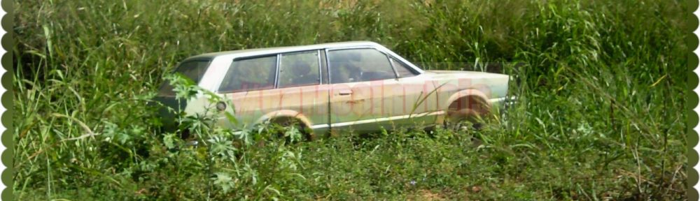 Ford Belina. By Bastos, Goiânia, GO